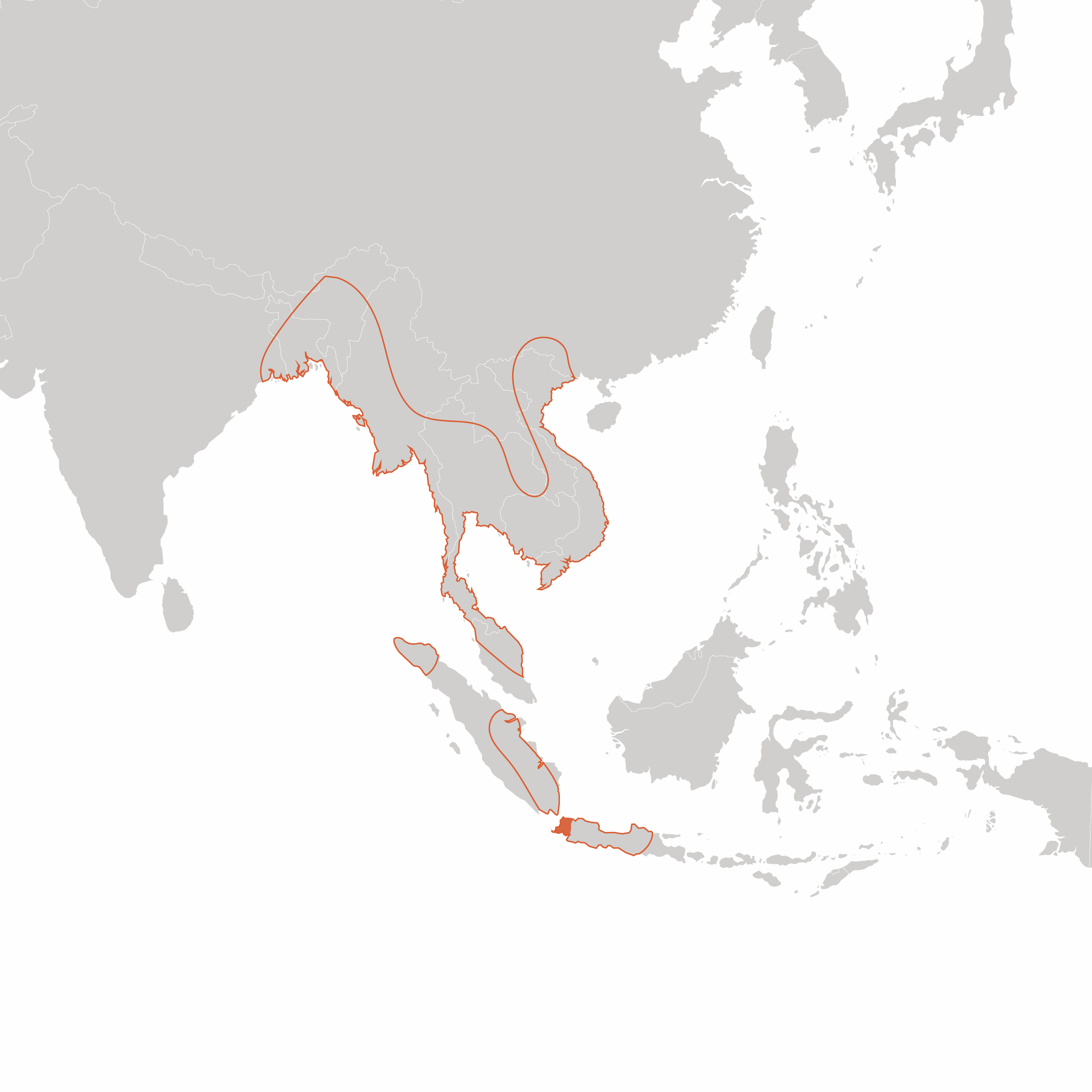 rhino number distribution