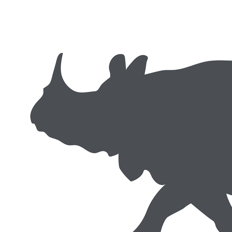 Greater One-Horned Rhino | International Rhino Foundation