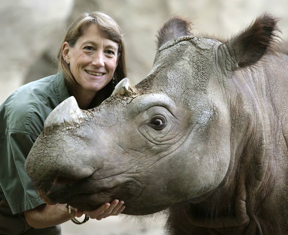 Cincinnati Zoo Devastated By Loss of Endangered Sumatran Rhino