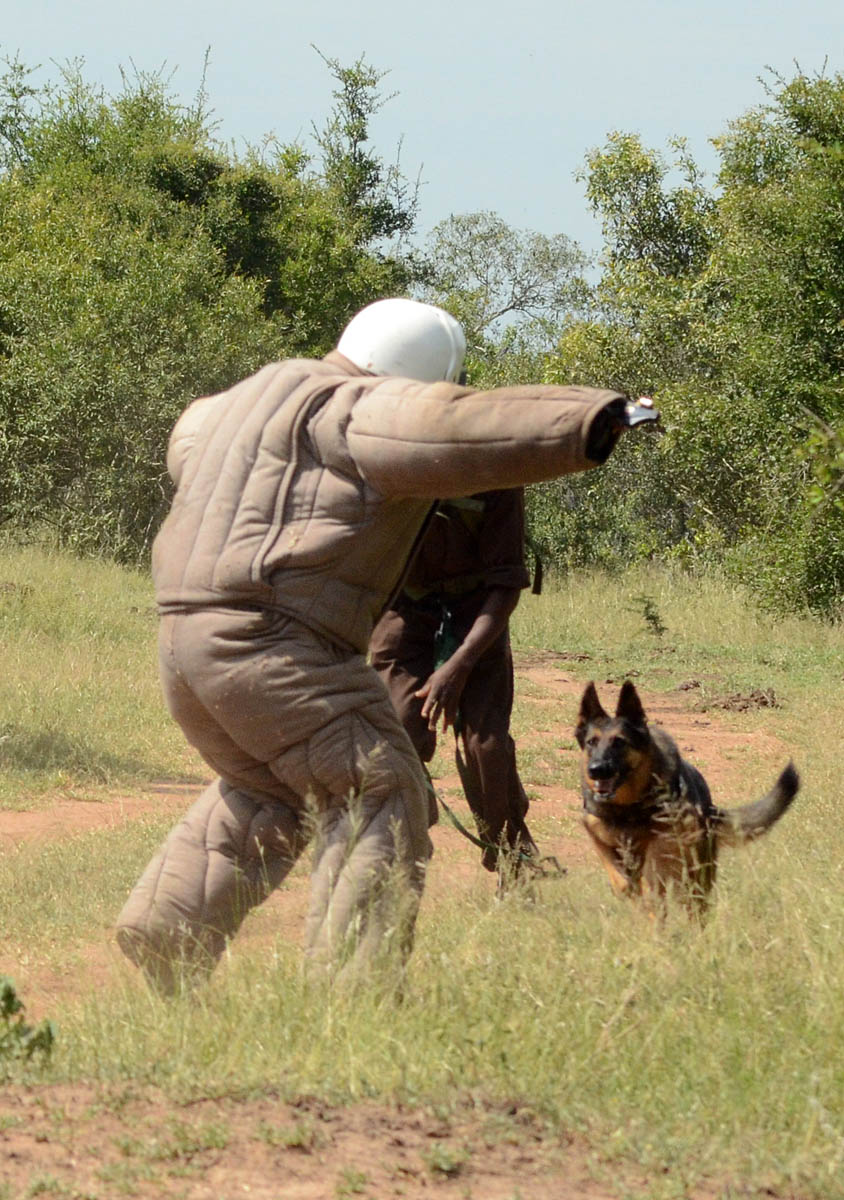 AP dog training Mkhaya Swazi 040314 WRK 454 low res