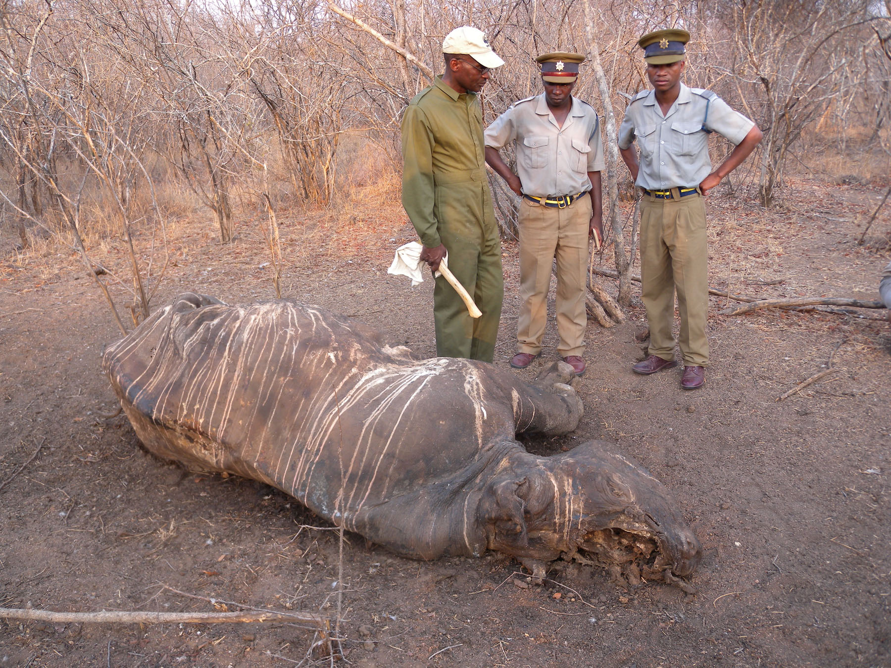 Operation: Stop Poaching Now – Law Enforcement Crackdown