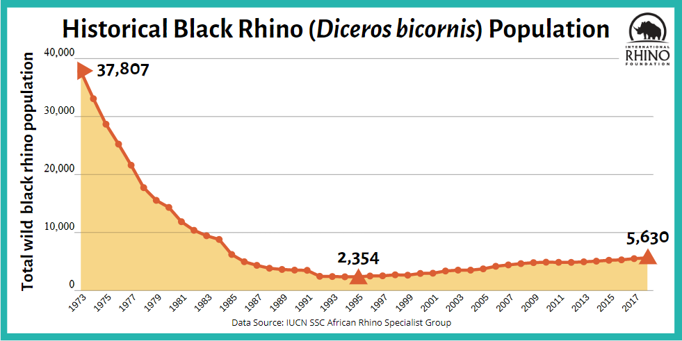 Javan Rhinoceros Population Graph