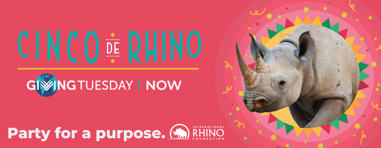 Coronavirus and Rhino Horn  International Rhino Foundation