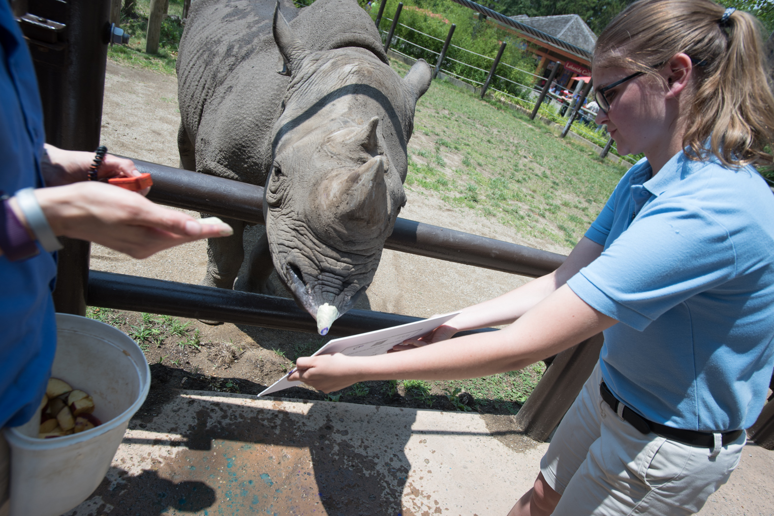 Rosie the Black rhino at Columbus Zoo paints with her lip to fundraise for rhino conservation