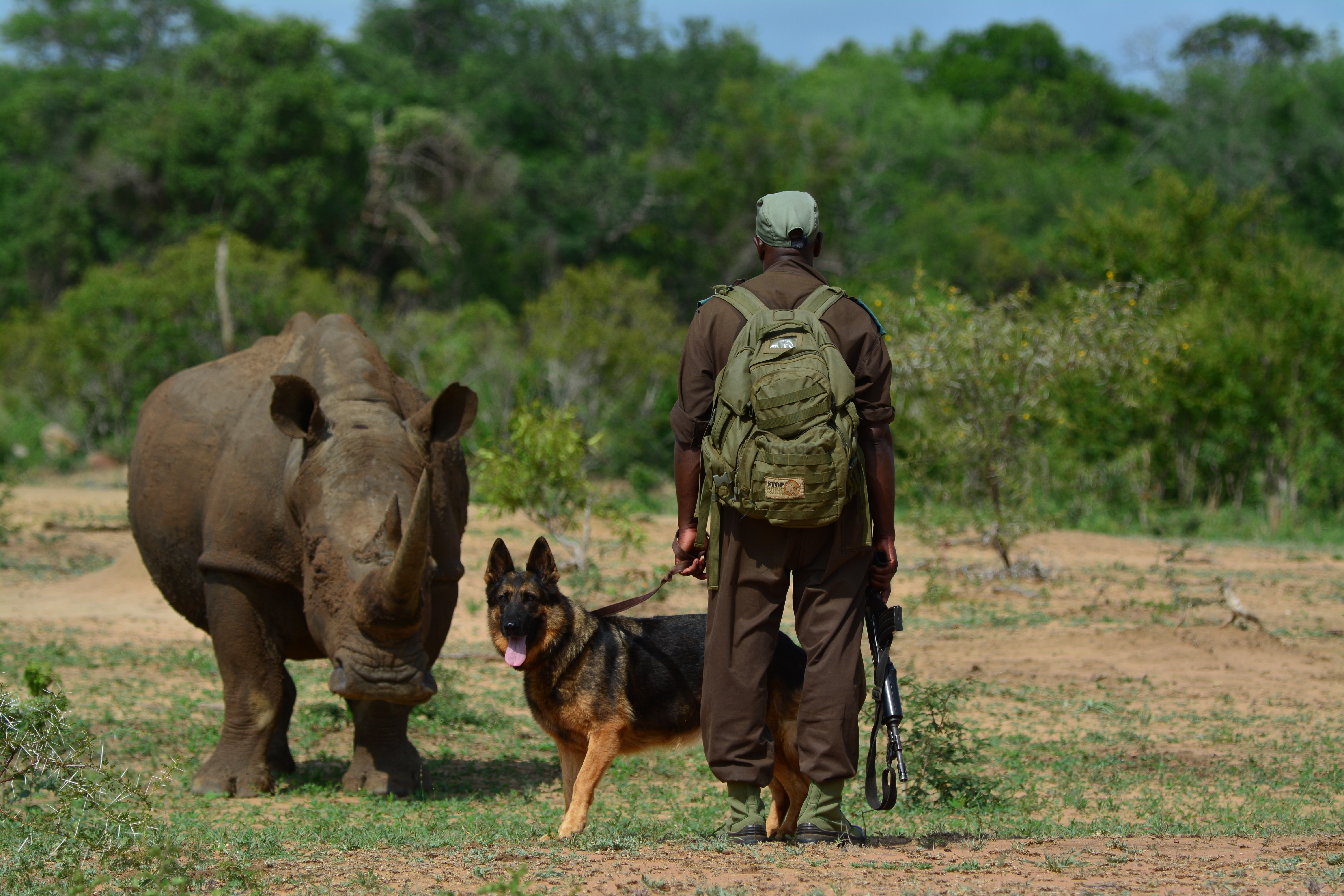 Celebrating the People Protecting Rhinos - International Rhino