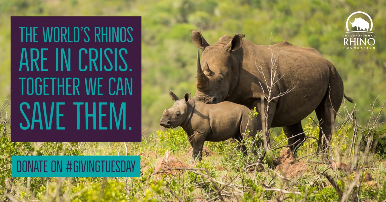 Today only - Double your impact and help us protect more rhinos