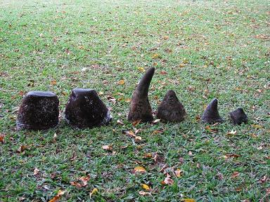 Confiscated Rhino Horns