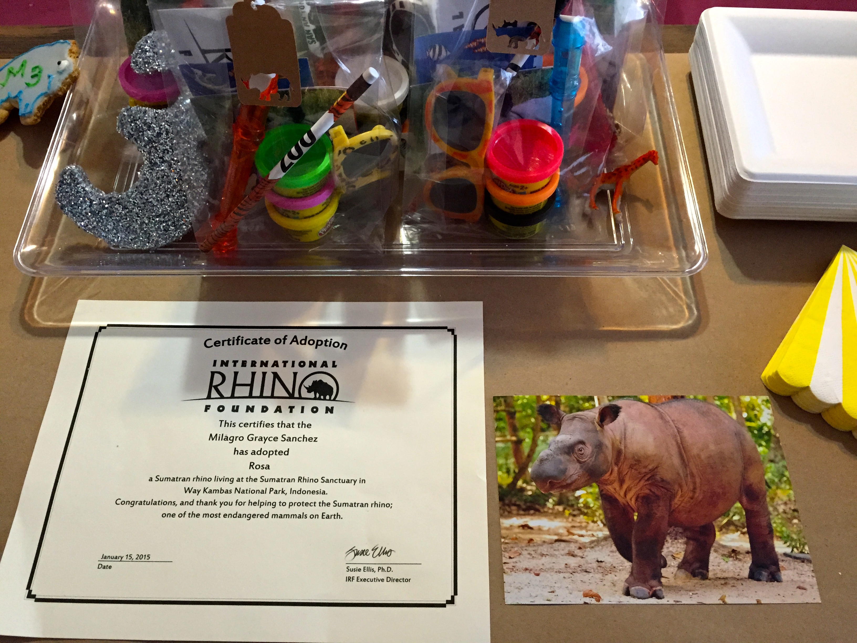 Rosa the Sumatran Rhino Adoption Kit