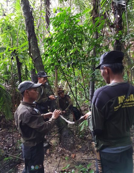 JRSCA team member setting up one of the donated camera traps in active wallow area and Arenga palm cleared area.