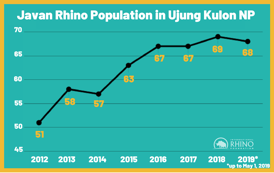 Javan Rhino Population in Ujung Kulon NP (4)