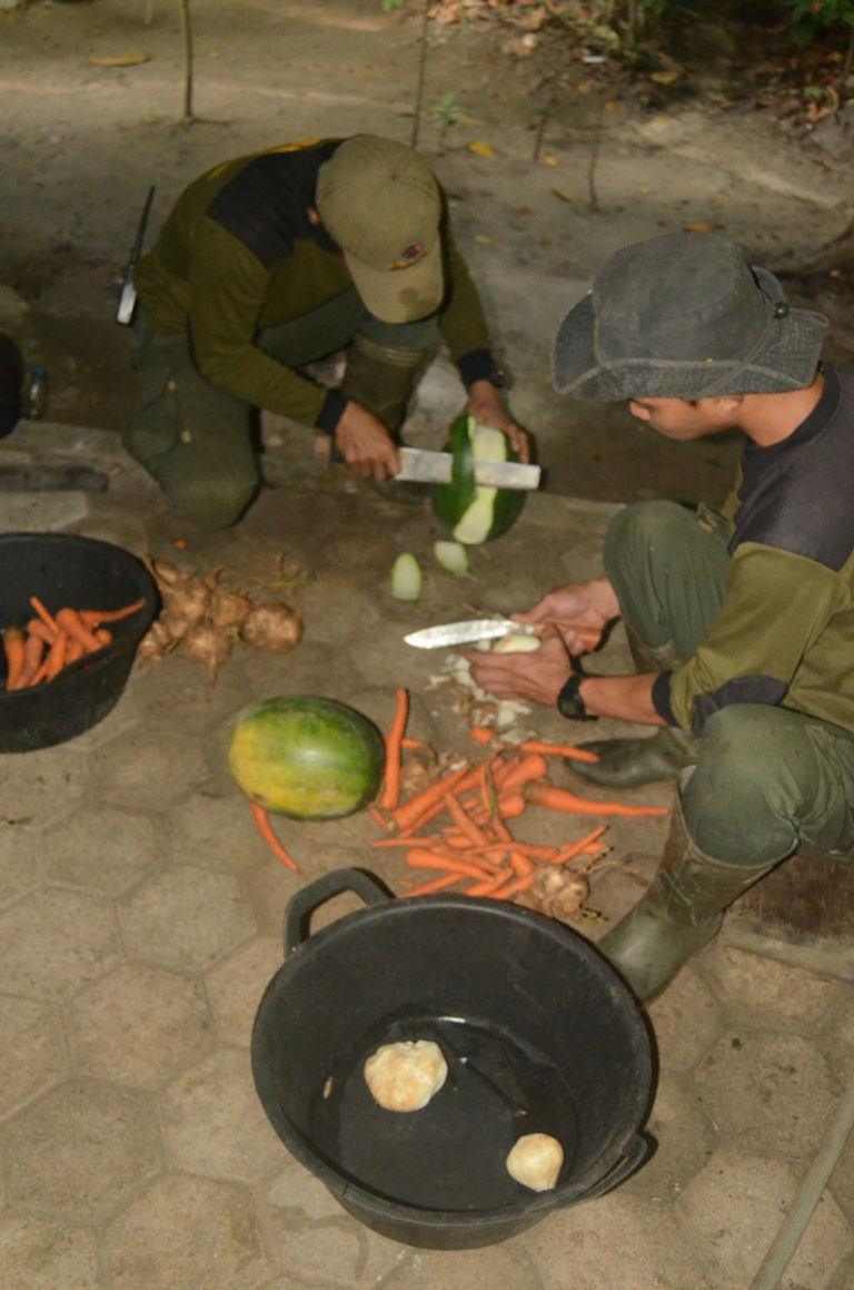 Behind-the-Scenes: Daily Routine at the Sumatran Rhino Sanctuary