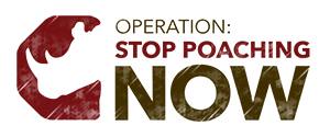 OpSPN-banner-logo-web