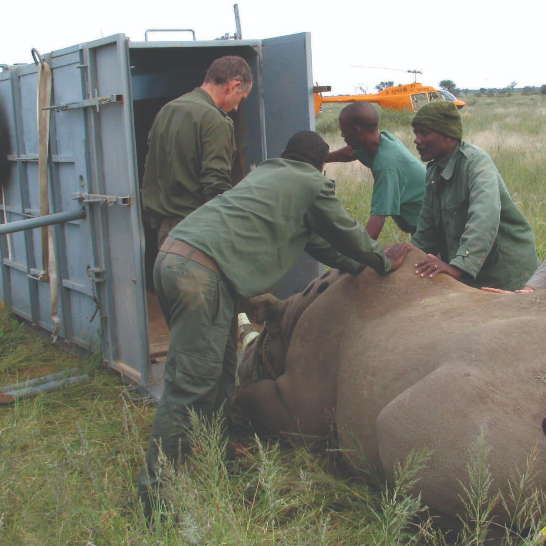 Preparing for A Rhino Rescue Mission — Sumatran Rhino Alliance