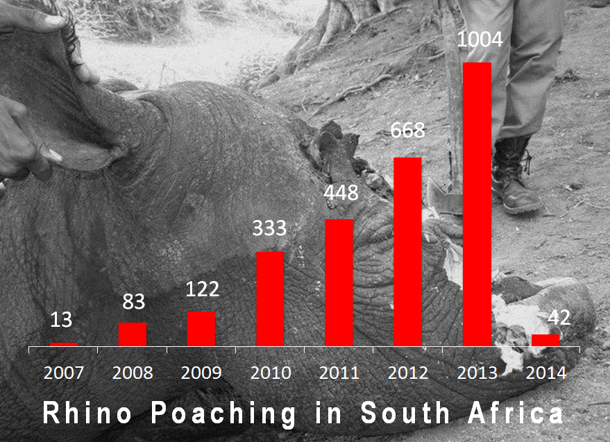 A Shameful Record:  Offical 2013 South African Rhino Poaching Stats