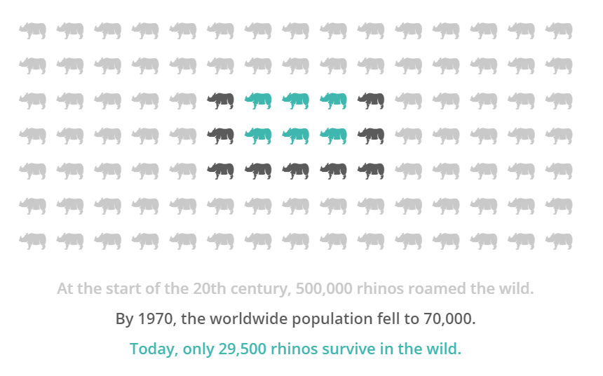 rhinoceros success categories