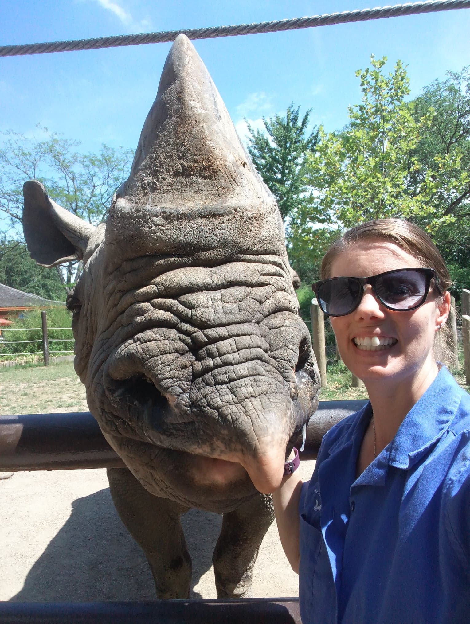 Black rhino Rosie at the Columbus Zoo with zookeeper, trainer