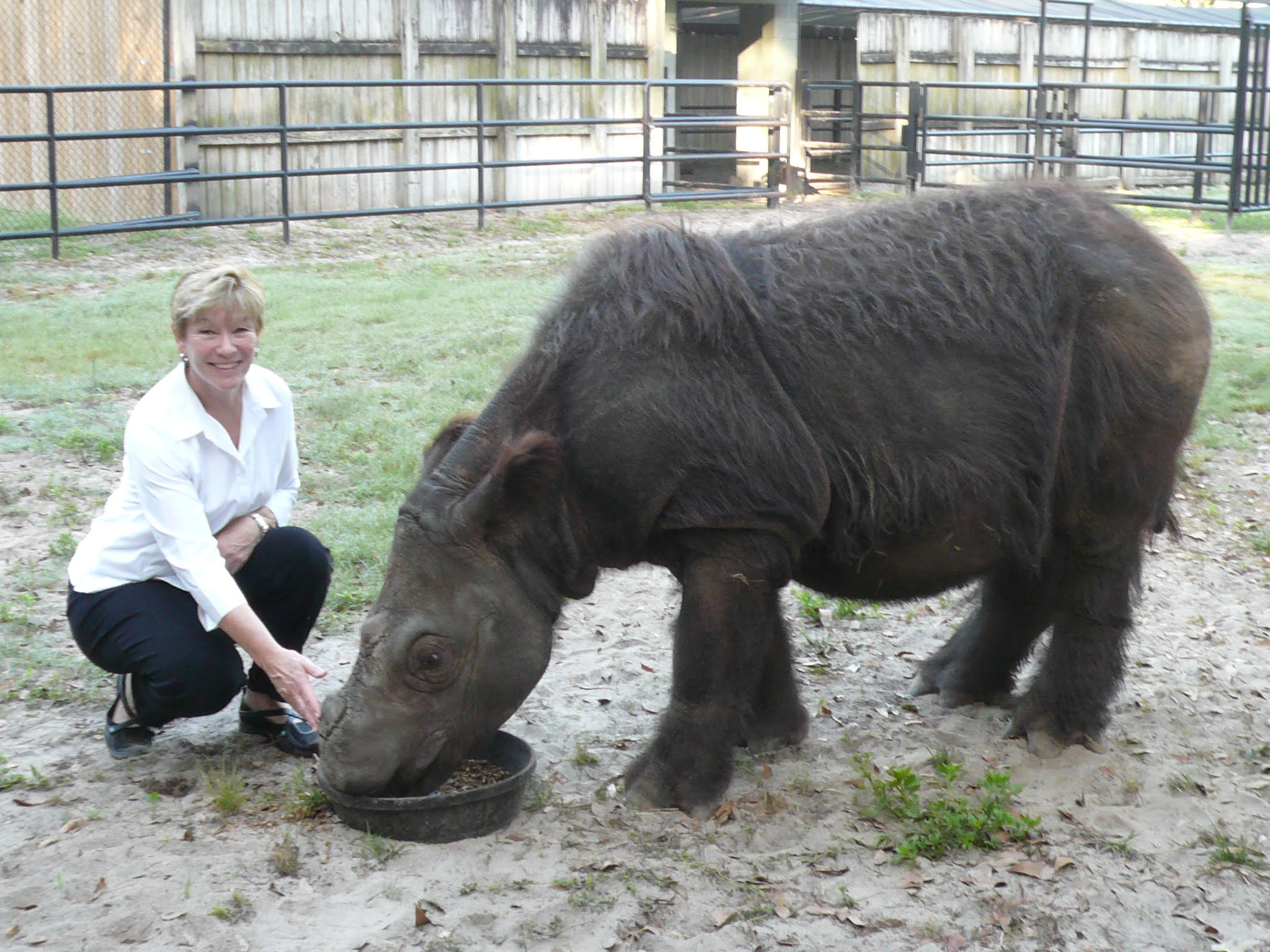 Sumatran Rhino Rescue celebrates World Rhino Day — Sumatran Rhino Alliance