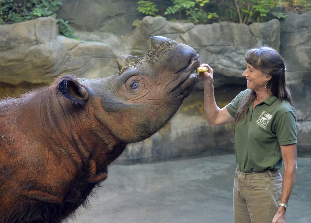 Cincinnati Zoo's Baby Black Rhino Has a Name! Meet “Ajani Joe” - Cincinnati  Zoo & Botanical Garden