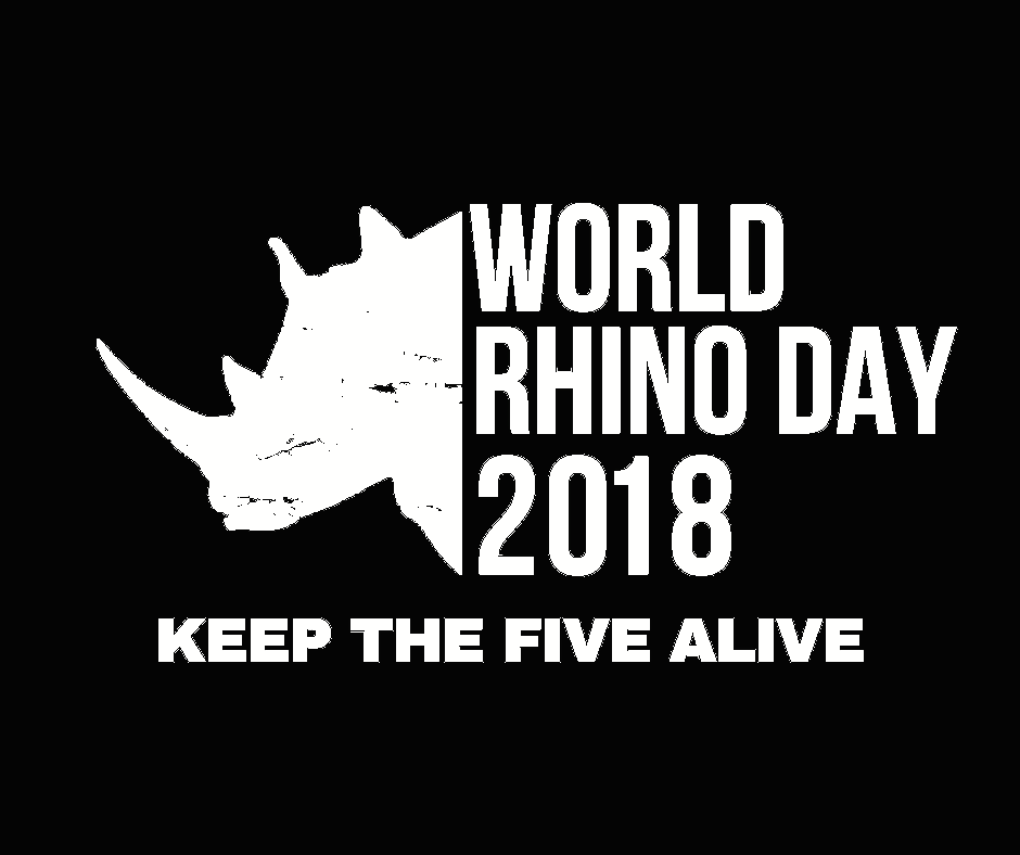 Rhinos at Risk 2018: Three African Rhinos Poached Every Day  for Fifth Straight Year