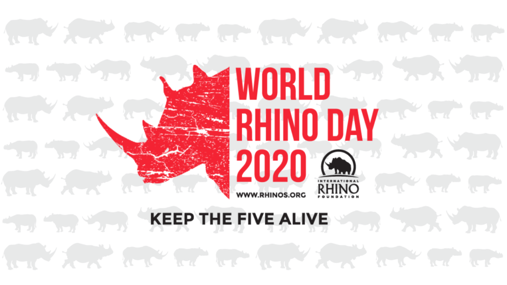 How To Help Rhinos On World Rhino Day - International Rhino ...