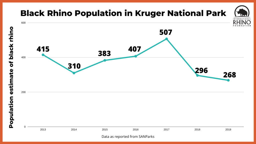 Steep Declines in Kruger's Rhino Population Cause For Concern