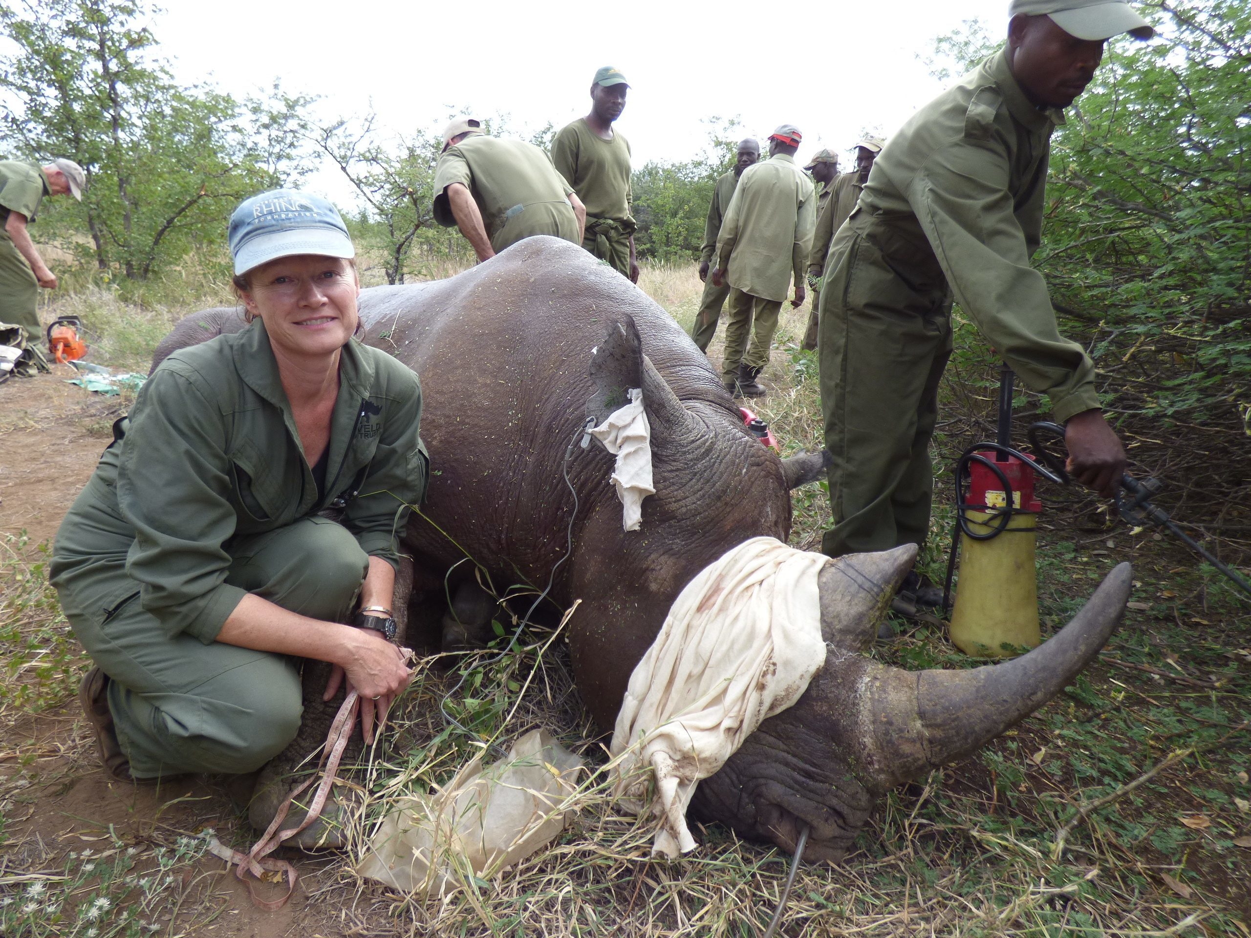 Rhino Women on International Women’s Day