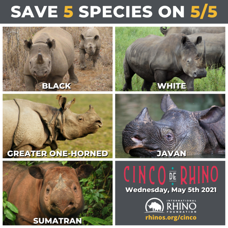 Celebrate 5 Species on 5/5 – Cinco de Rhino | International Rhino