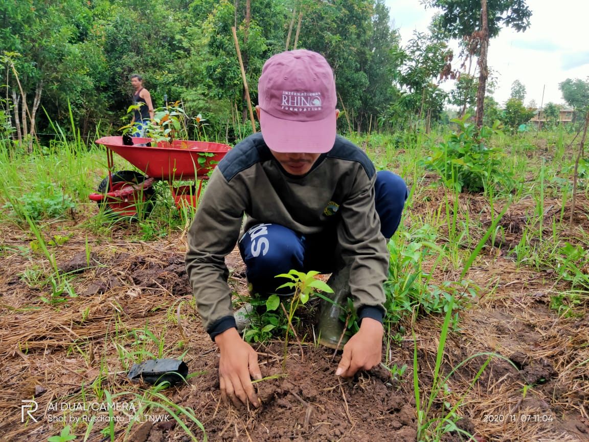 The Sumatra  Reforestation  Program One Year Later 