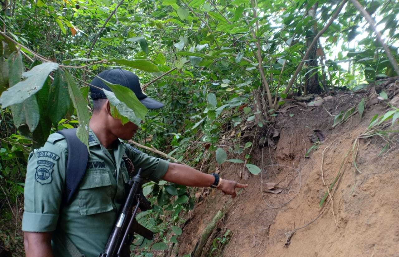 The Sumatra  Reforestation  Program One Year Later 