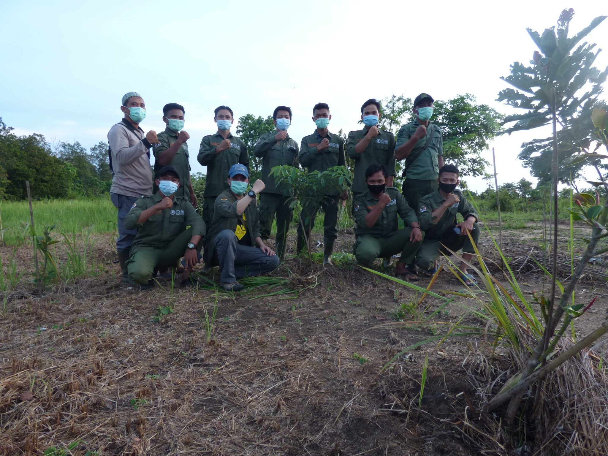 The Sumatra Reforestation Program - One Year Later - International ...