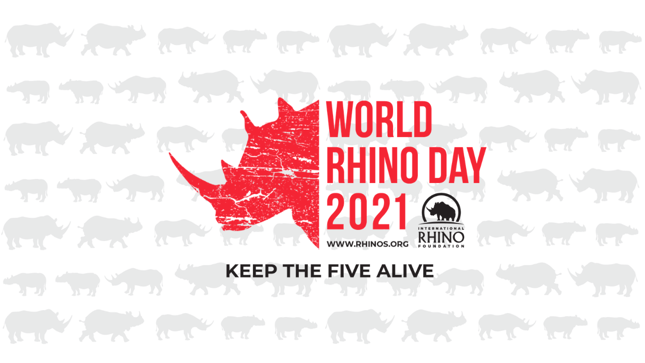 Happy World Rhino Day! 🌍 🦏 Today, we unite to celebrate and