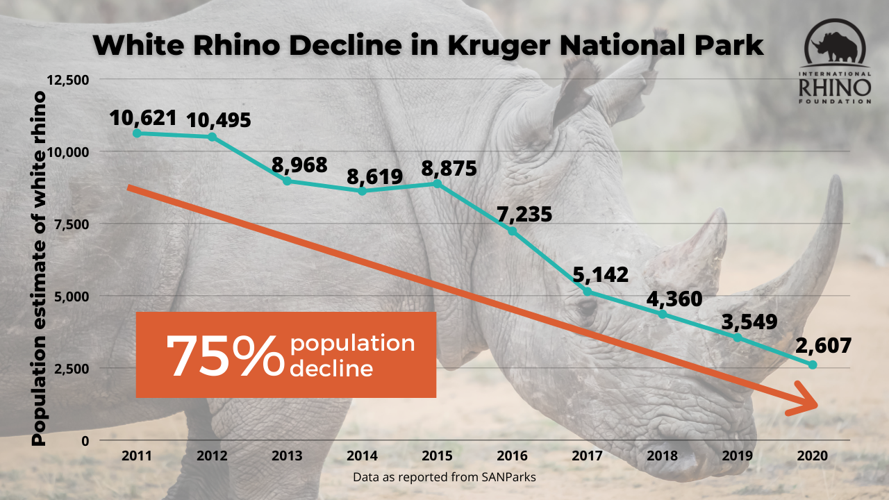 Updated Poaching Numbers from Kruger National Park - International ...