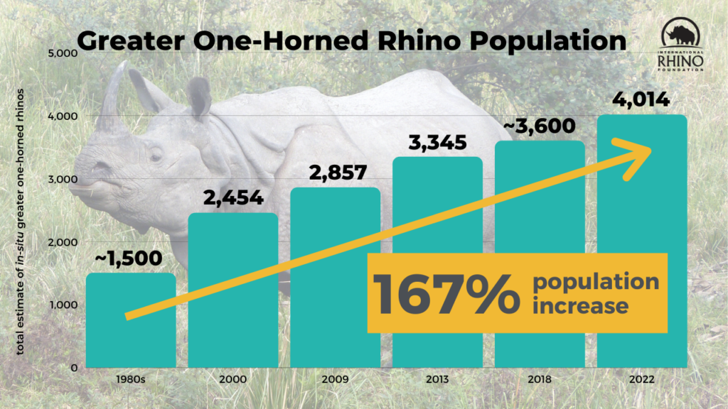 Javan Rhinoceros Population Graph