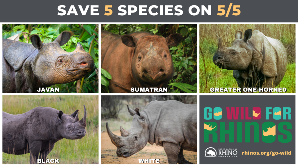 Go Wild and Save 5 Species on 5/5 - International Rhino ...