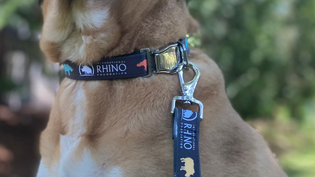 Best way to attach outlet tags to dog collar