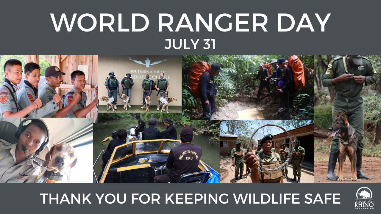 World Ranger Day International Rhino FoundationInternational Rhino