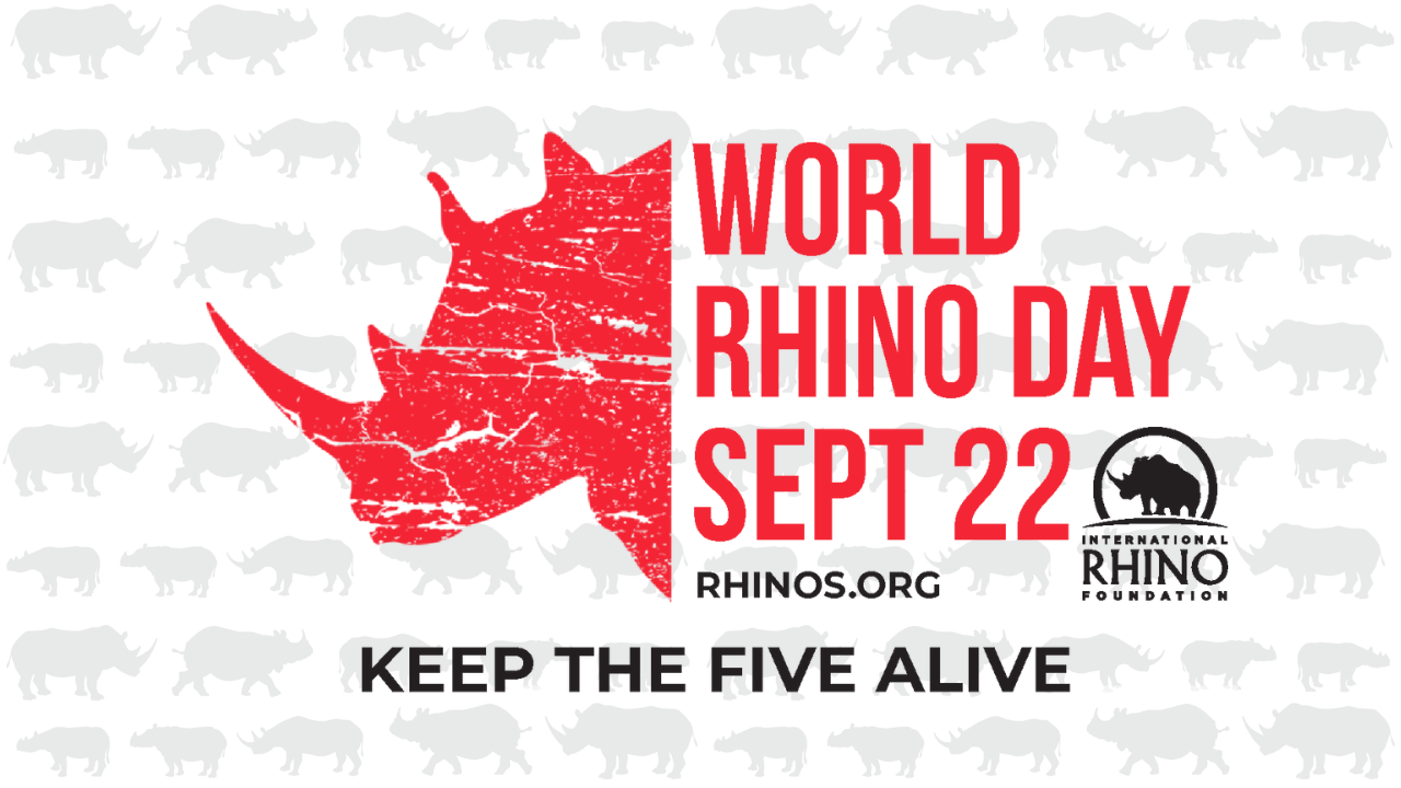 World Rhino Day International Rhino Foundation