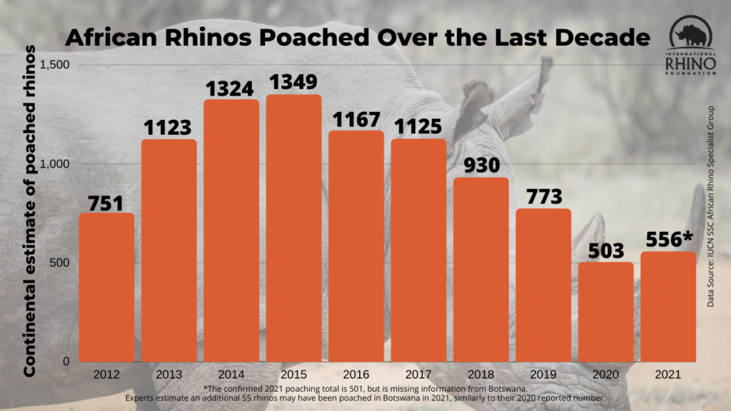 current white rhino population 2021 Rhino poaching statistics rhinos nov