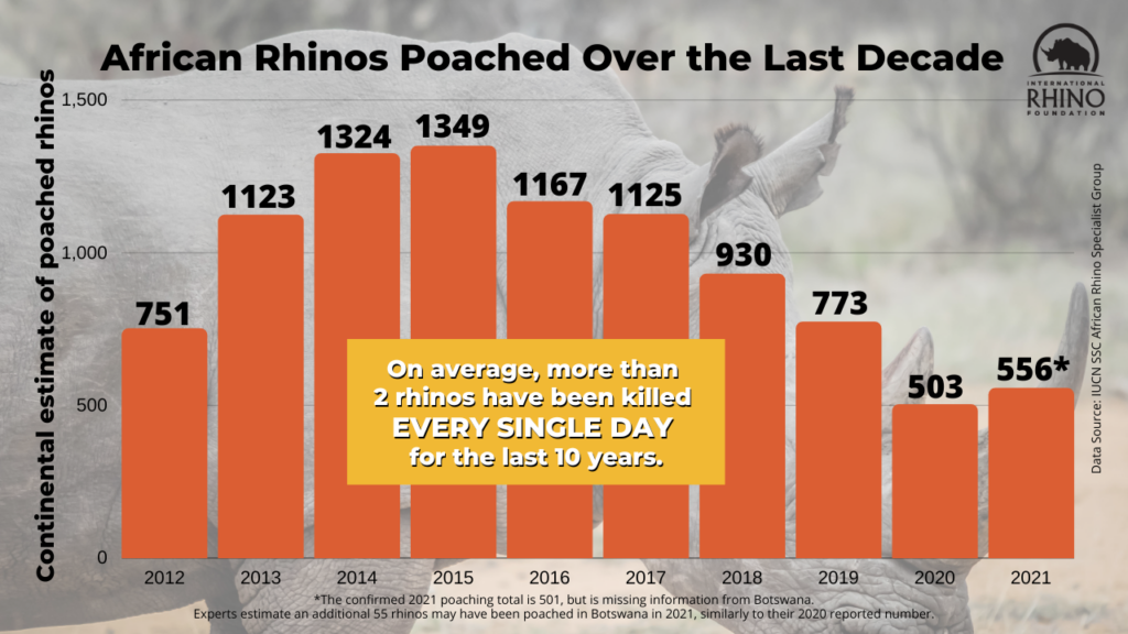 Rhinos Depend on You - International Rhino FoundationInternational