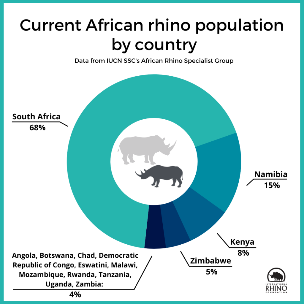 Rhinos Population 2024 - Codi Melosa