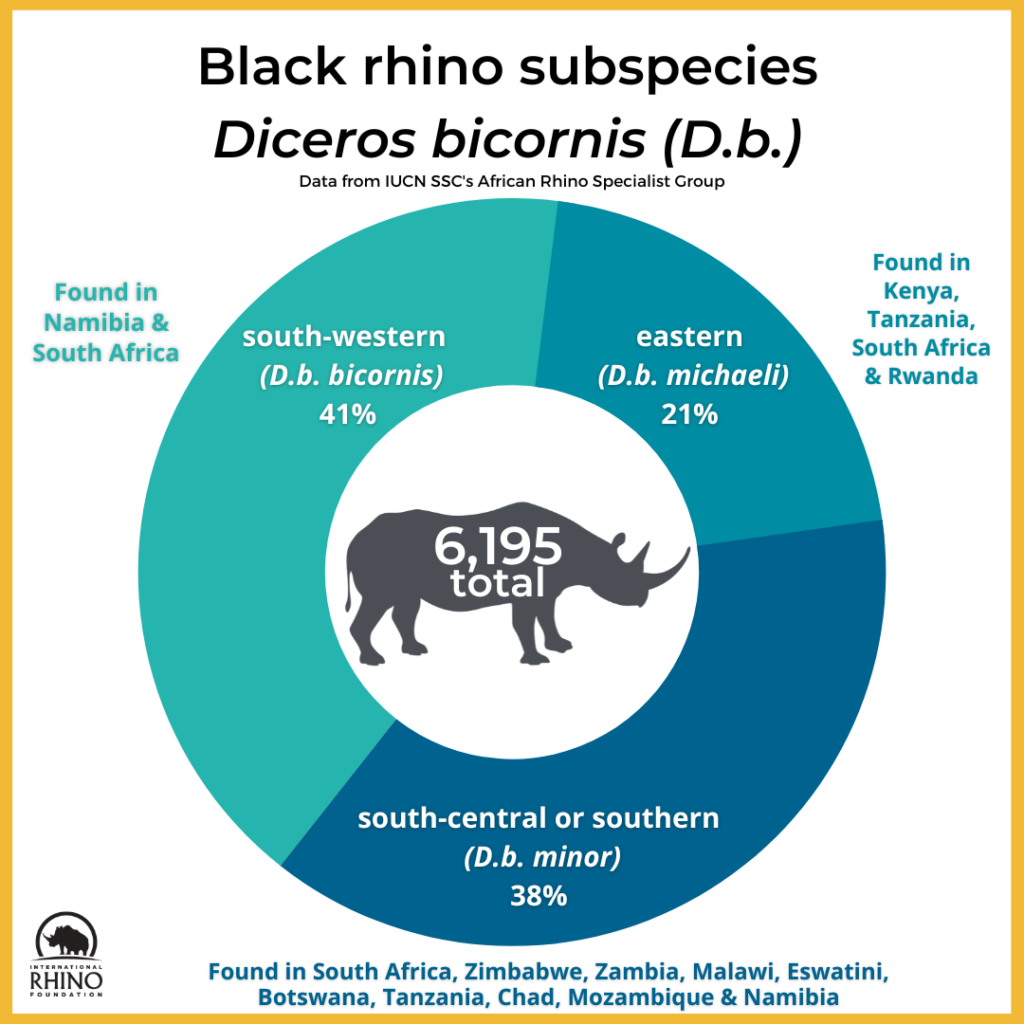 State of the Rhino International Rhino Foundation