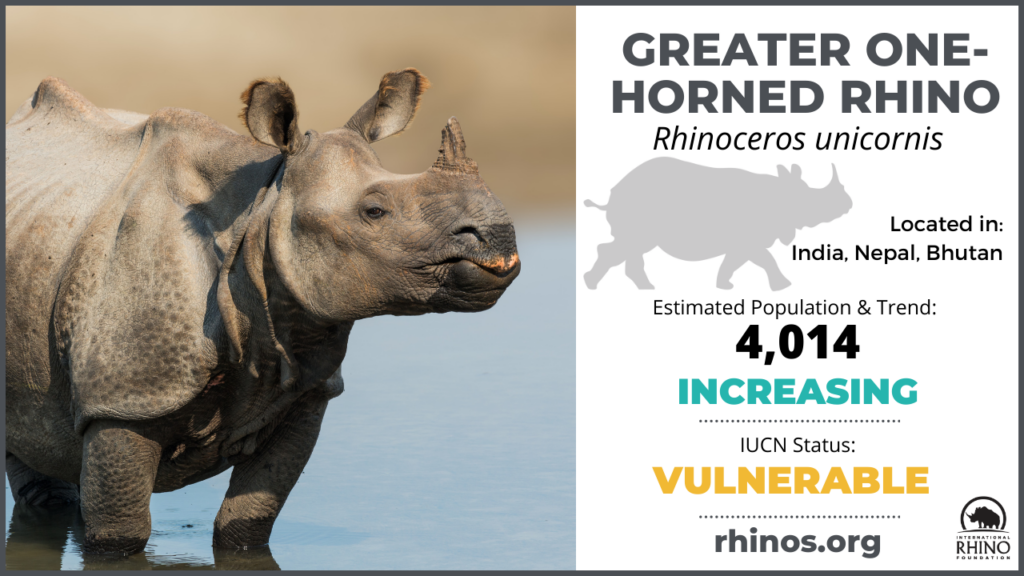 State of the Rhino | International Rhino Foundation