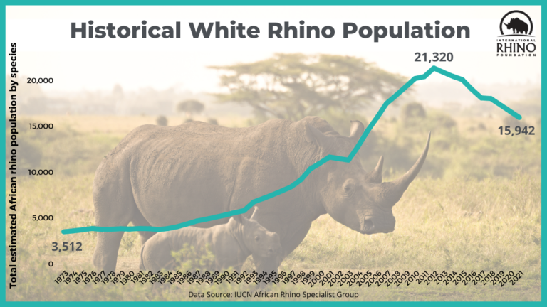 State of the Rhino | International Rhino Foundation