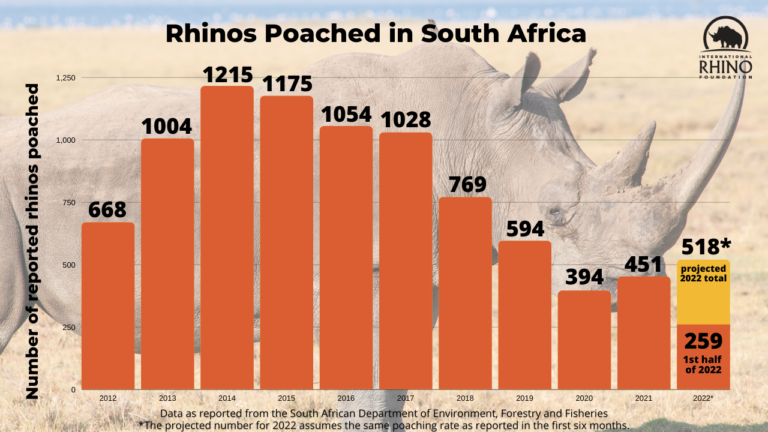 State of the Rhino | International Rhino Foundation