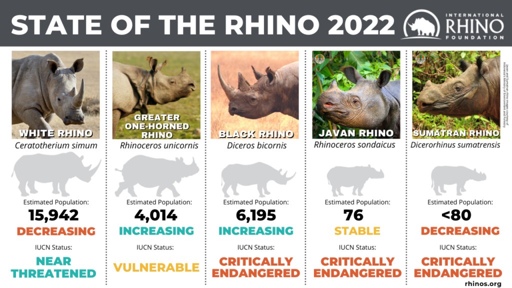 World Rhino Day | International Rhino Foundation