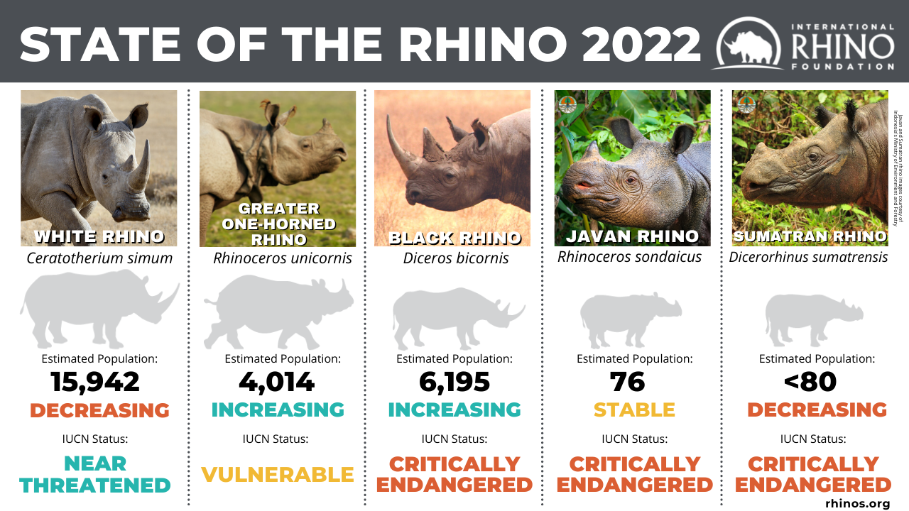 World Rhino Day International Rhino Foundation