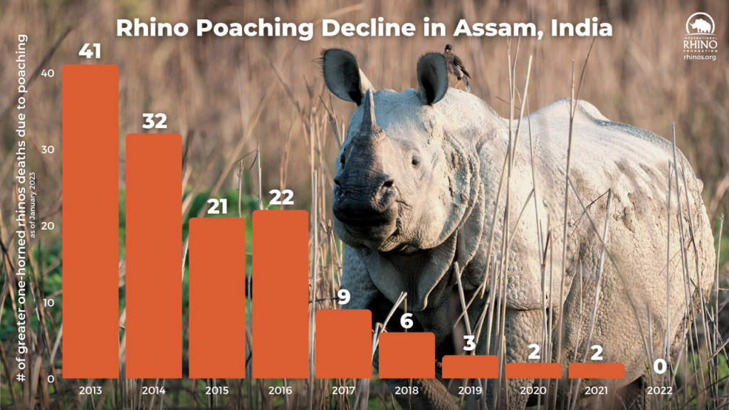 One-Horned Rhinoceros: Know about the animal and its conservation in Assam  as state reports zero poaching after 45 years | Knowledge News - News9live