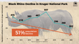 A New Poaching Problem In South Africa - International Rhino 