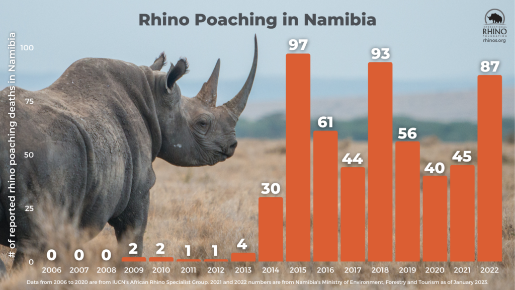 State of the Rhino Update: Rhino Poaching Nearly Doubles in Namibia