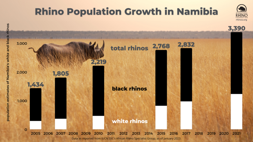 a chart showing the population growth of Namibia's white and black rhinos since 2005.